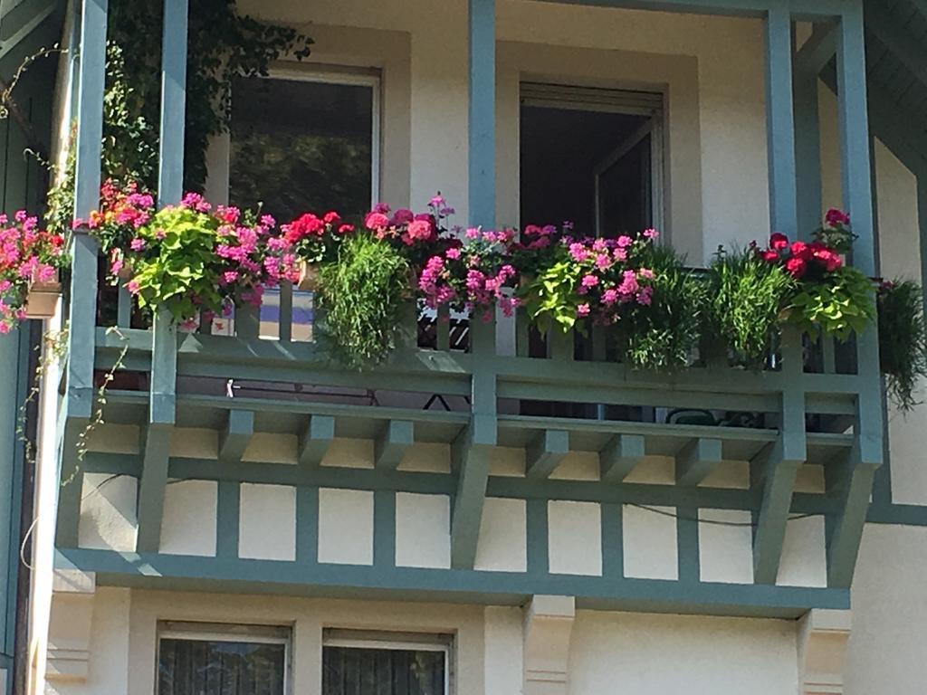 Schwarzwald Villa Gengenbach Eksteriør billede